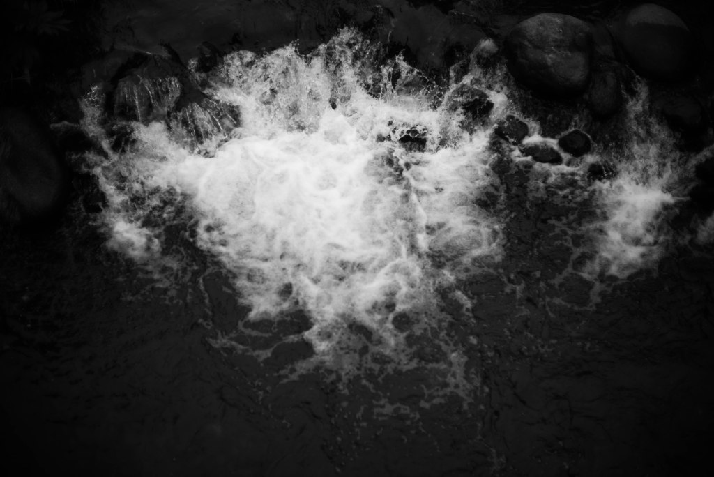 20260126 | 職人の矜持